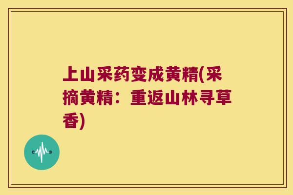 上山采药变成黄精(采摘黄精：重返山林寻草香)