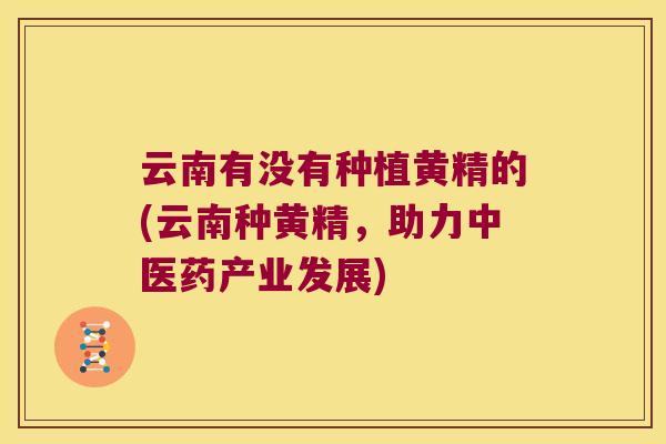 云南有没有种植黄精的(云南种黄精,助力中医药产业发展) 云南有没有种植黄精的(云南种黄精,助力中医药产业发展)