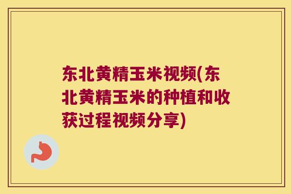 东北黄精玉米视频(东北黄精玉米的种植和收获过程视频分享)