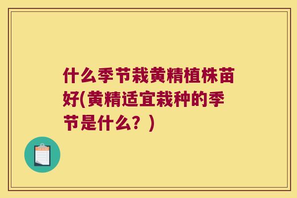 什么季节栽黄精植株苗好(黄精适宜栽种的季节是什么?) 什么季节栽黄精植株苗好(黄精适宜栽种的季节是什么?)