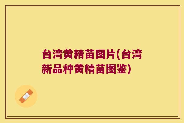 台湾黄精苗图片(台湾新品种黄精苗图鉴) 台湾黄精苗图片(台湾新品种黄精苗图鉴)