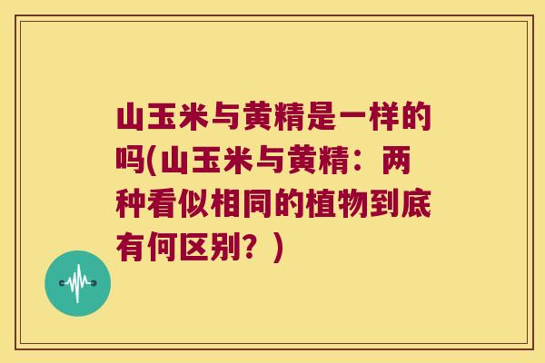 山玉米与黄精是一样的吗(山玉米与黄精:两种看似相同的植物到底有何区别?) 山玉米与黄精是一样的吗(山玉米与黄精:两种看似相同的植物到底有何区别?)