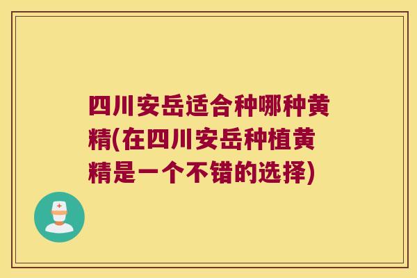 四川安岳适合种哪种黄精(在四川安岳种植黄精是一个不错的选择)