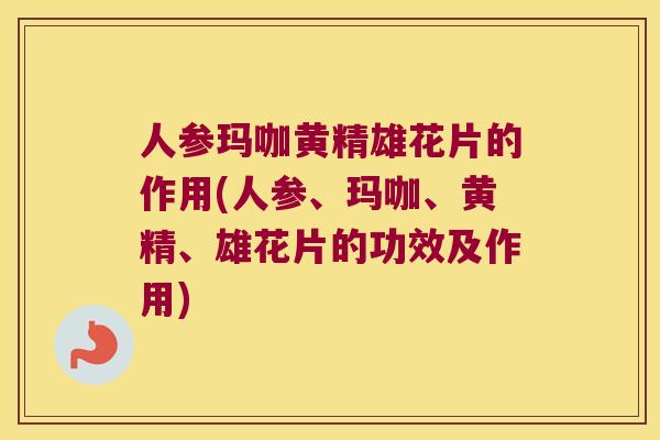 人参玛咖黄精雄花片的作用(人参、玛咖、黄精、雄花片的功效及作用)