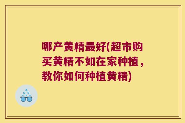 哪产黄精好(超市购买黄精不如在家种植,教你如何种植黄精) 哪产黄精好(超市购买黄精不如在家种植,教你如何种植黄精)