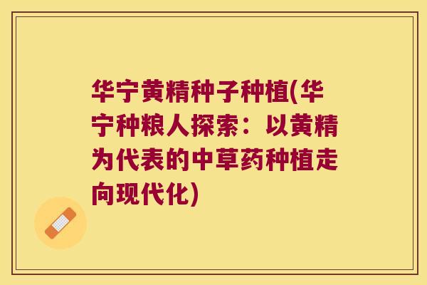 华宁黄精种子种植(华宁种粮人探索:以黄精为代表的中草药种植走向现代化) 华宁黄精种子种植(华宁种粮人探索:以黄精为代表的中草药种植走向现代化)