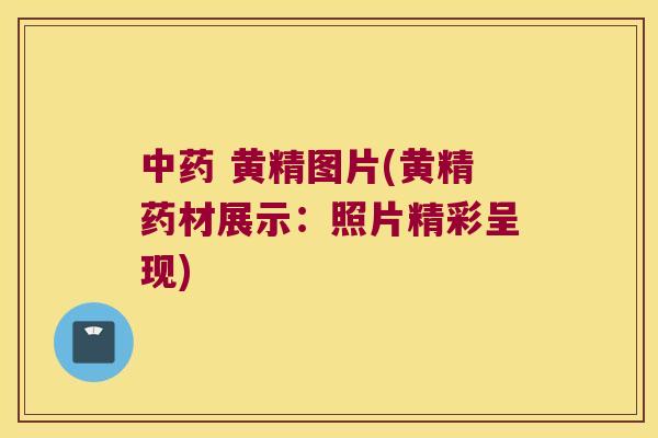 黄精图片(黄精药材展示:照片精彩呈现) 黄精图片(黄精药材展示:照片精彩呈现)