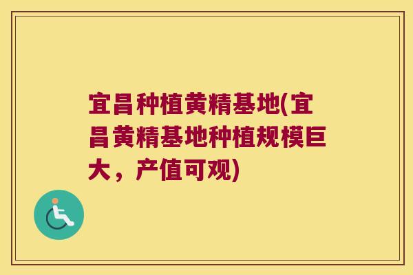 宜昌种植黄精基地(宜昌黄精基地种植规模巨大，产值可观)