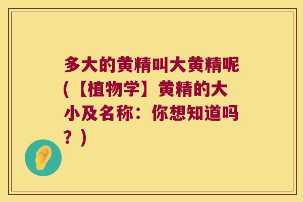 多大的黄精叫大黄精呢(【植物学】黄精的大小及名称：你想知道吗？)