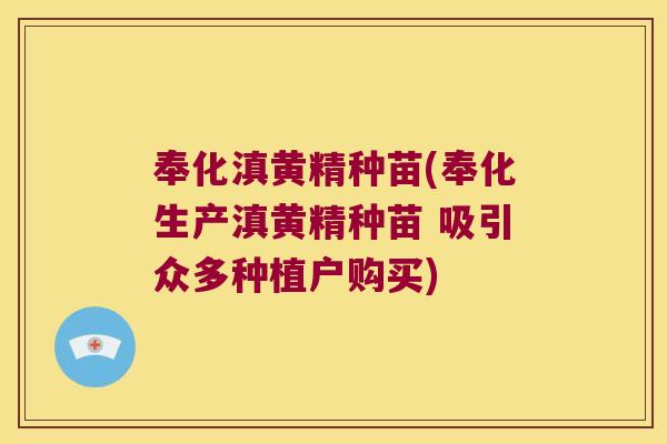 奉化滇黄精种苗(奉化生产滇黄精种苗 吸引众多种植户购买) 奉化滇黄精种苗(奉化生产滇黄精种苗 吸引众多种植户购买)