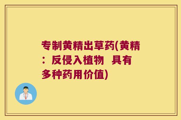 专制黄精出草药(黄精:反侵入植物 具有多种药用价值) 专制黄精出草药(黄精:反侵入植物 具有多种药用价值)