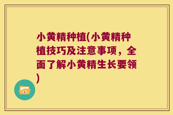 小黄精种植(小黄精种植技巧及注意事项,全面了解小黄精生长要领) 小黄精种植(小黄精种植技巧及注意事项,全面了解小黄精生长要领)
