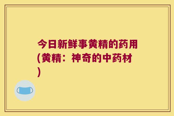 今日新鲜事黄精的药用(黄精:神奇的材) 今日新鲜事黄精的药用(黄精:神奇的材)