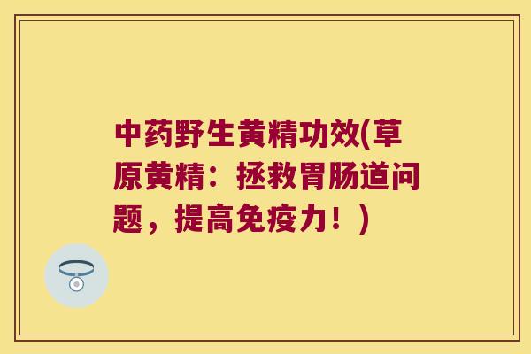 野生黄精功效(草原黄精：拯救道问题，提高力！)