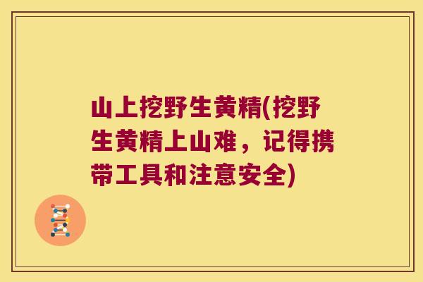 山上挖野生黄精(挖野生黄精上山难，记得携带工具和注意安全)