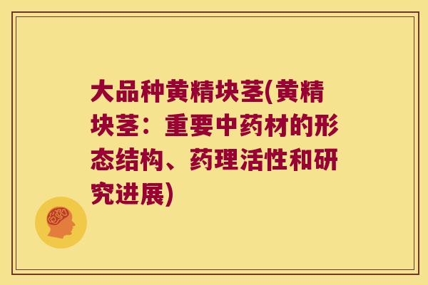 大品种黄精块茎(黄精块茎:重要材的形态结构、药理活性和研究进展) 大品种黄精块茎(黄精块茎:重要材的形态结构、药理活性和研究进展)
