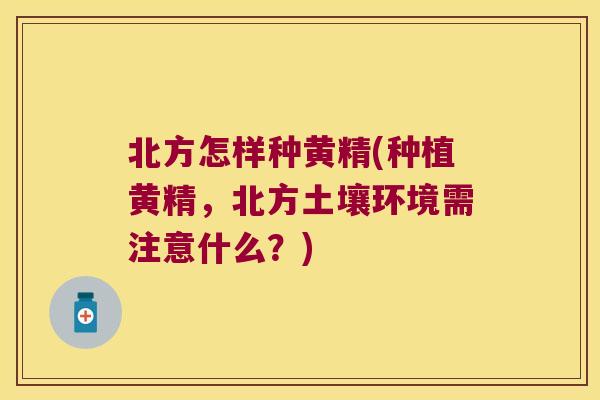 北方怎样种黄精(种植黄精,北方土壤环境需注意什么?) 北方怎样种黄精(种植黄精,北方土壤环境需注意什么?)