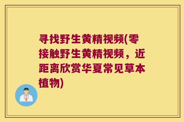 寻找野生黄精视频(零接触野生黄精视频,近距离欣赏华夏常见草本植物) 寻找野生黄精视频(零接触野生黄精视频,近距离欣赏华夏常见草本植物)