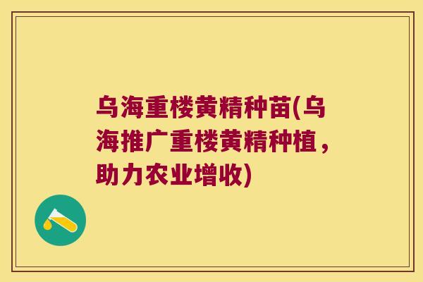 乌海重楼黄精种苗(乌海推广重楼黄精种植,助力农业增收) 乌海重楼黄精种苗(乌海推广重楼黄精种植,助力农业增收)