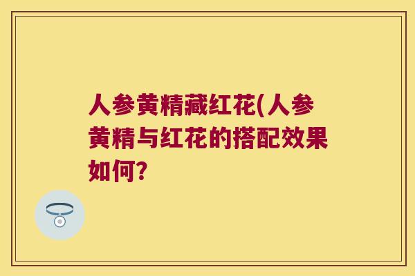 人参黄精藏红花(人参黄精与红花的搭配效果如何？