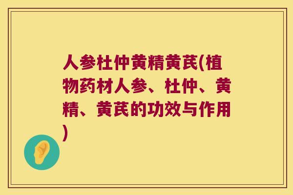 人参杜仲黄精黄芪(植物药材人参、杜仲、黄精、黄芪的功效与作用) 人参杜仲黄精黄芪(植物药材人参、杜仲、黄精、黄芪的功效与作用)