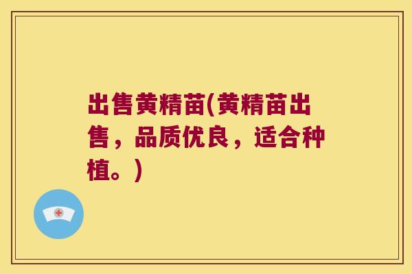 出售黄精苗(黄精苗出售,品质优良,适合种植。) 出售黄精苗(黄精苗出售,品质优良,适合种植。)