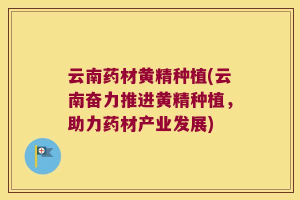 云南药材黄精种植(云南奋力推进黄精种植，助力药材产业发展)