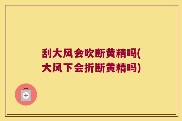 刮大风会吹断黄精吗(大风下会折断黄精吗) 刮大风会吹断黄精吗(大风下会折断黄精吗)