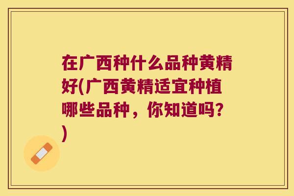 在广西种什么品种黄精好(广西黄精适宜种植哪些品种，你知道吗？)