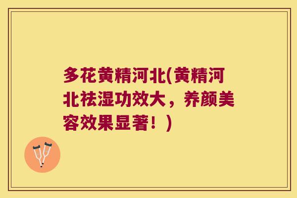 多花黄精河北(黄精河北祛湿功效大，效果显著！)