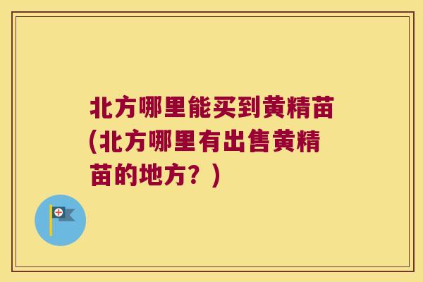 北方哪里能买到黄精苗(北方哪里有出售黄精苗的地方?) 北方哪里能买到黄精苗(北方哪里有出售黄精苗的地方?)