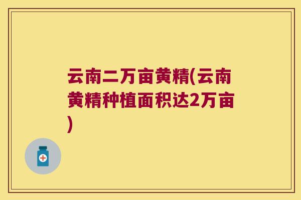 云南二万亩黄精(云南黄精种植面积达2万亩) 云南二万亩黄精(云南黄精种植面积达2万亩)