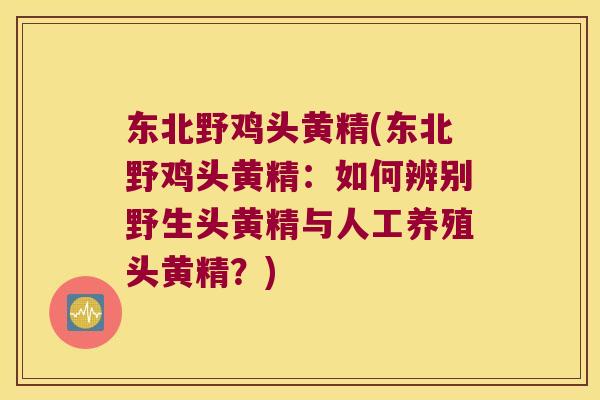 东北野鸡头黄精(东北野鸡头黄精：如何辨别野生头黄精与人工养殖头黄精？)