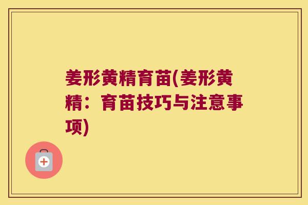 姜形黄精育苗(姜形黄精：育苗技巧与注意事项)