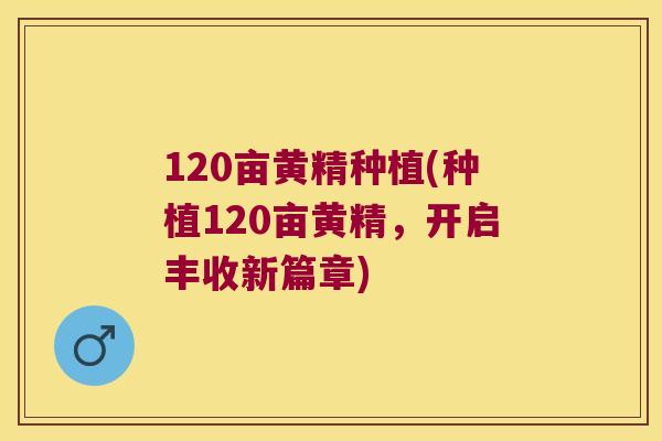 120亩黄精种植(种植120亩黄精，开启丰收新篇章)