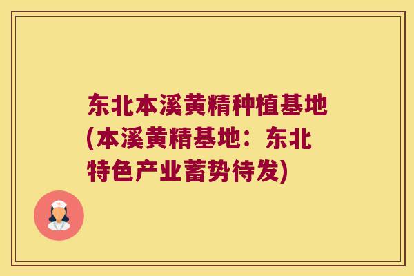 东北本溪黄精种植基地(本溪黄精基地：东北特色产业蓄势待发)