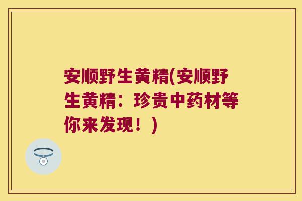 安顺野生黄精(安顺野生黄精：珍贵材等你来发现！)
