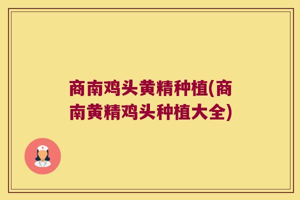 商南鸡头黄精种植(商南黄精鸡头种植大全) 商南鸡头黄精种植(商南黄精鸡头种植大全)