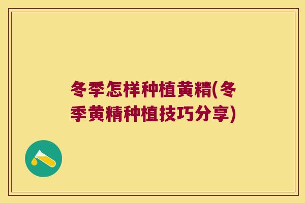 冬季怎样种植黄精(冬季黄精种植技巧分享)