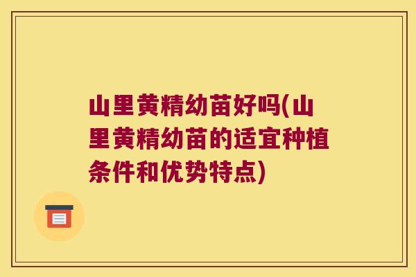 山里黄精幼苗好吗(山里黄精幼苗的适宜种植条件和优势特点)