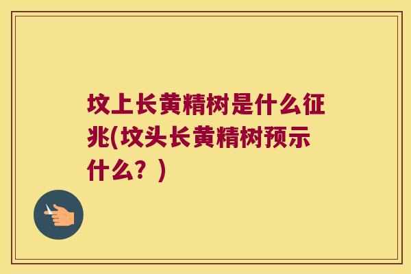 坟上长黄精树是什么征兆(坟头长黄精树预示什么？)