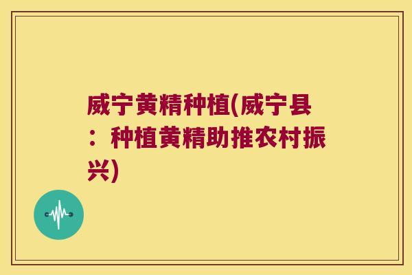 威宁黄精种植(威宁县:种植黄精助推农村振兴) 威宁黄精种植(威宁县:种植黄精助推农村振兴)