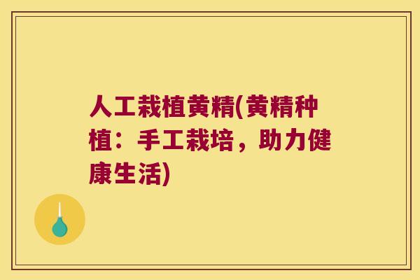 人工栽植黄精(黄精种植:手工栽培,助力健康生活) 人工栽植黄精(黄精种植:手工栽培,助力健康生活)
