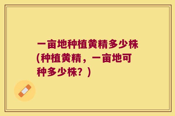 一亩地种植黄精多少株(种植黄精，一亩地可种多少株？)