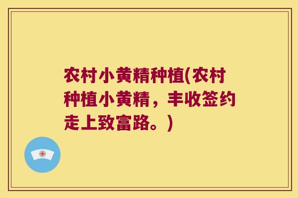 农村小黄精种植(农村种植小黄精，丰收签约走上致富路。)