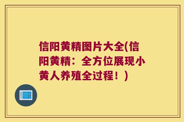 信阳黄精图片大全(信阳黄精:全方位展现小黄人养殖全过程!) 信阳黄精图片大全(信阳黄精:全方位展现小黄人养殖全过程!)