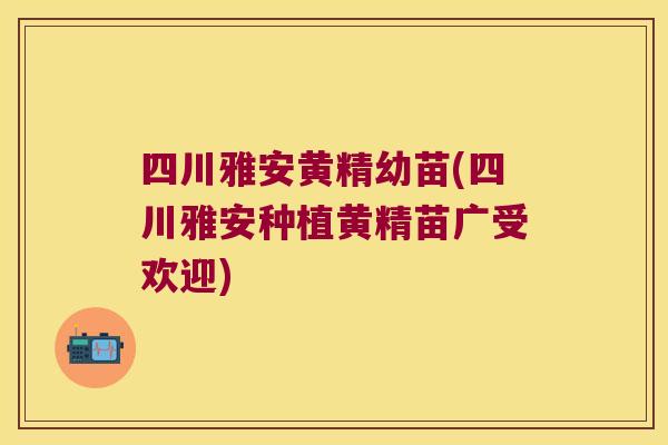 四川雅安黄精幼苗(四川雅安种植黄精苗广受欢迎) 四川雅安黄精幼苗(四川雅安种植黄精苗广受欢迎)