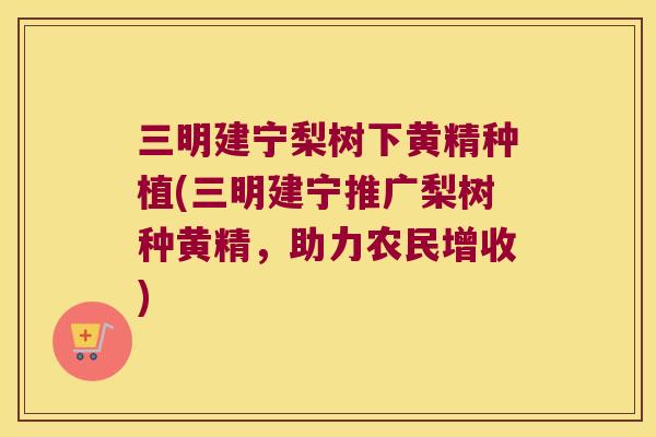 三明建宁梨树下黄精种植(三明建宁推广梨树种黄精,助力农民增收) 三明建宁梨树下黄精种植(三明建宁推广梨树种黄精,助力农民增收)