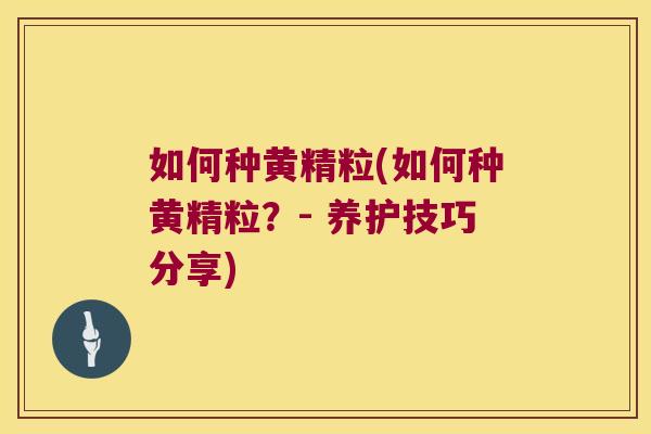 如何种黄精粒(如何种黄精粒?- 养护技巧分享) 如何种黄精粒(如何种黄精粒?- 养护技巧分享)