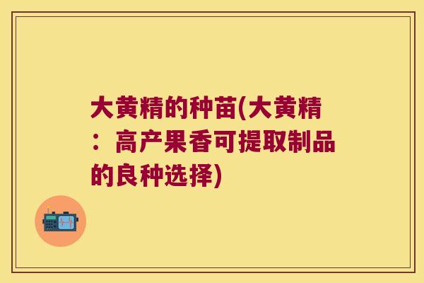 大黄精的种苗(大黄精：高产果香可提取制品的良种选择)